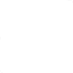 Symbolische Abbildung eines Blattes