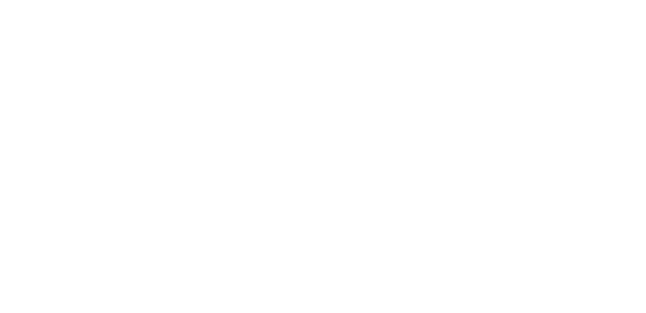 Logo SEEBA-BAU weiss